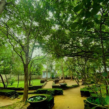 Twin Blocks Nature Resort Anuradhapura Eksteriør billede