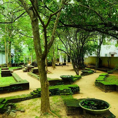 Twin Blocks Nature Resort Anuradhapura Eksteriør billede