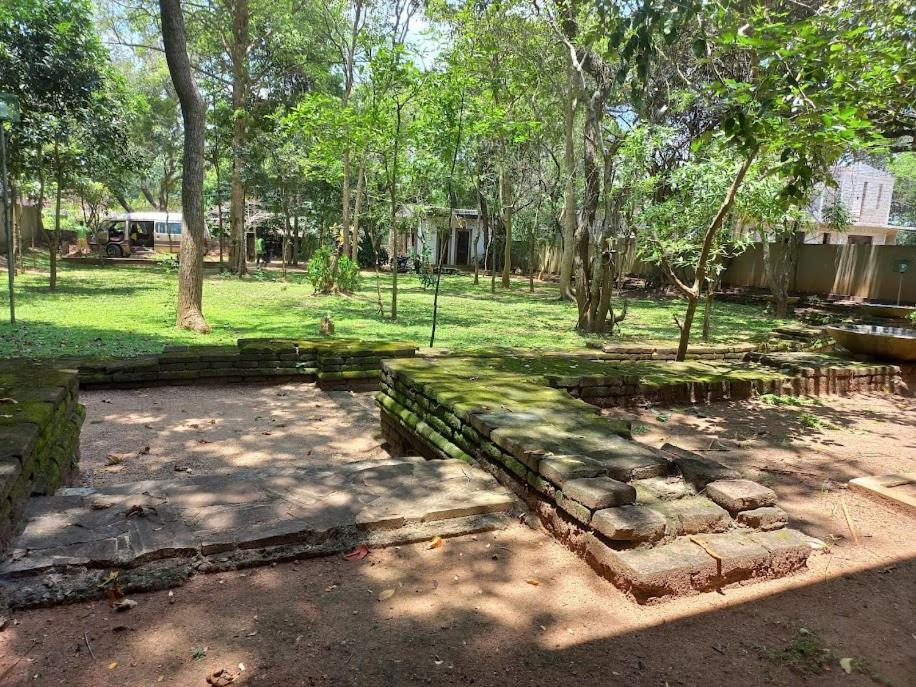 Twin Blocks Nature Resort Anuradhapura Eksteriør billede