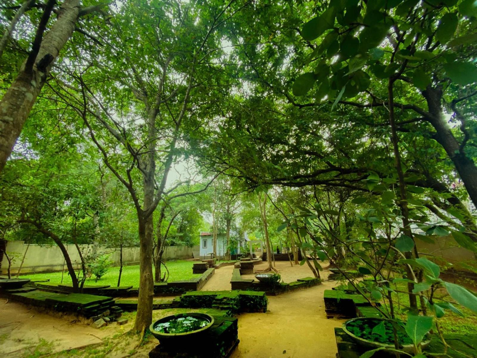 Twin Blocks Nature Resort Anuradhapura Eksteriør billede